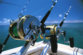 Big Game Fishing in Mombasa